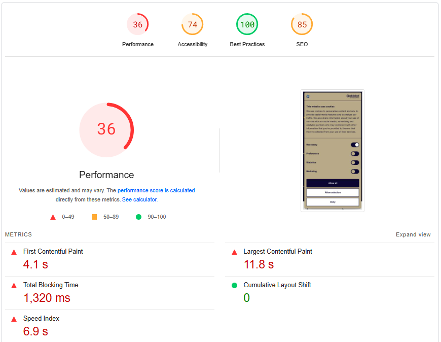 Screenshot from pagespeed insights
